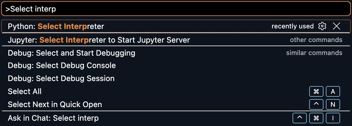 python interpreter
